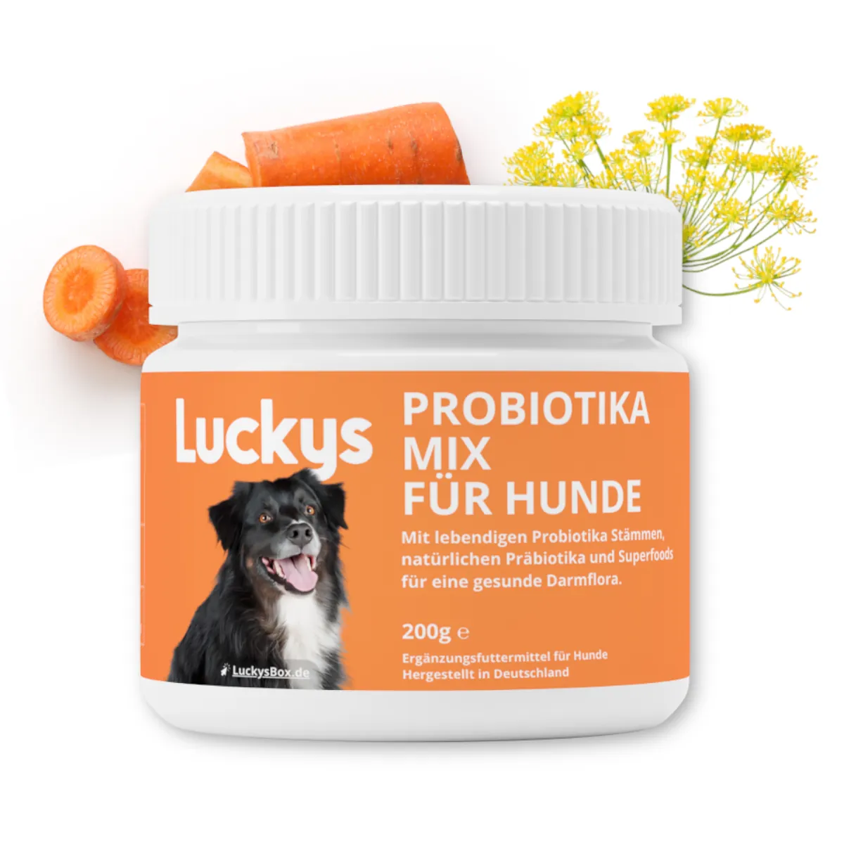 Luckys Probiotika-Mix für Hunde im Test: Dosierung & Wirkung